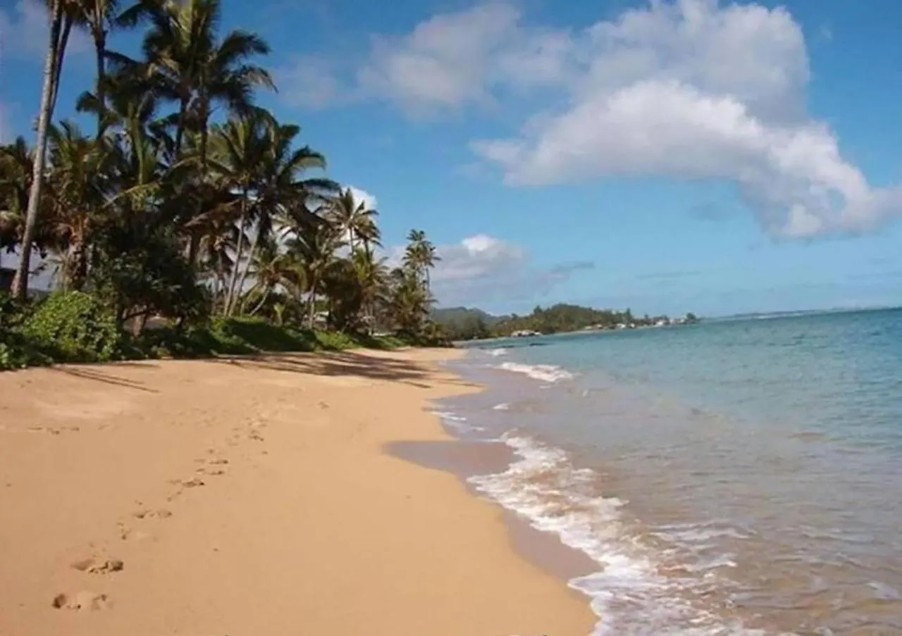 Daire Stylish Condo Steps To Beach Hau'ula